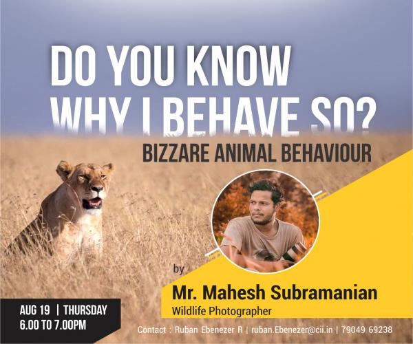 DO YOU KNOW WHY I BEHAVE SO?